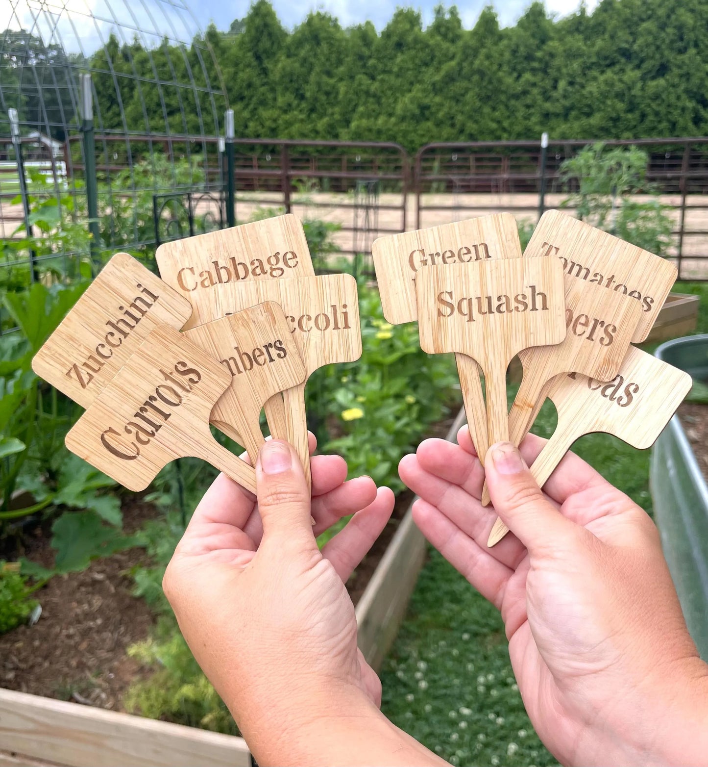 Custom Plant/Garden Markers